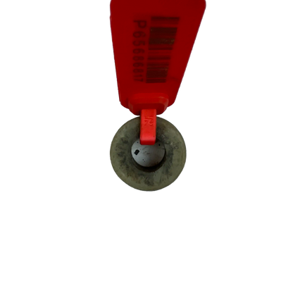 Rulle | 14527692, 14706006