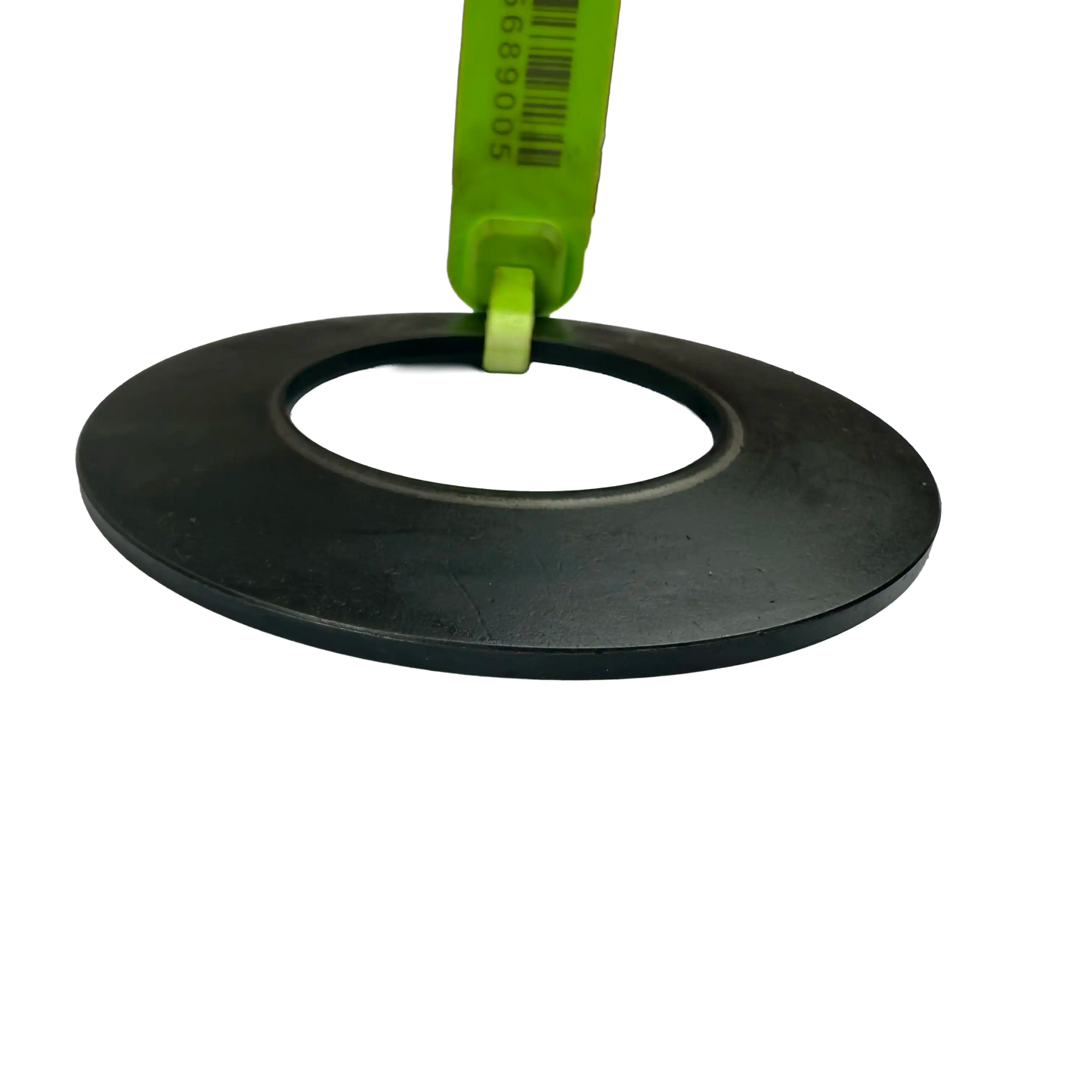 Tallriksfjäder | 14012878