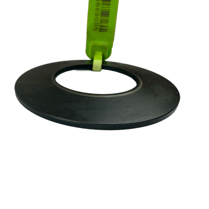 Tallriksfjäder | 14012878