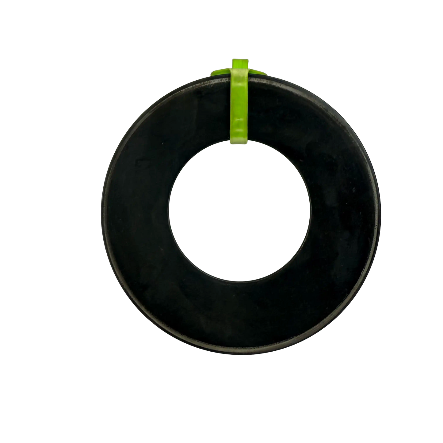 Tallriksfjäder | 14012878