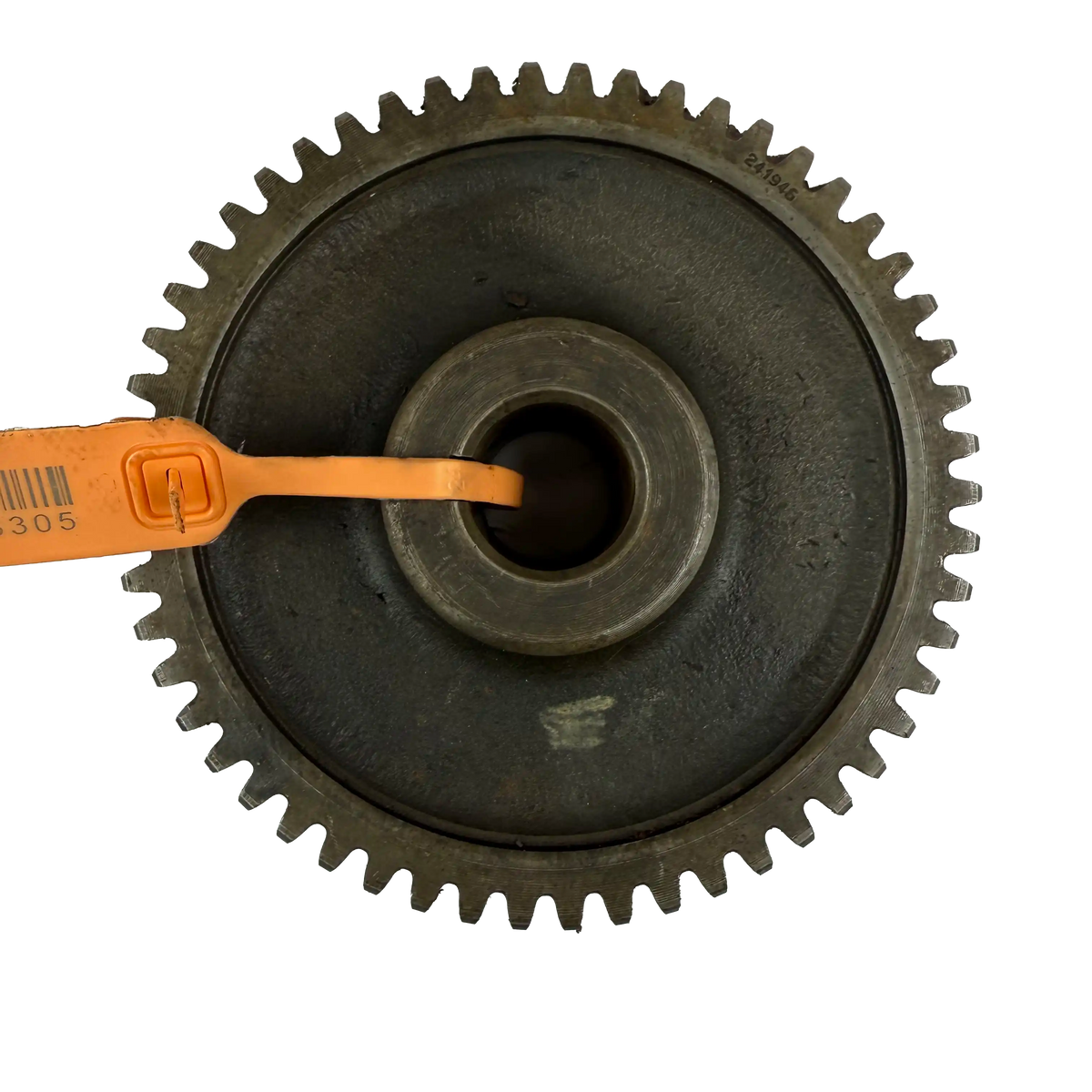 Kuggdrev | 14241946