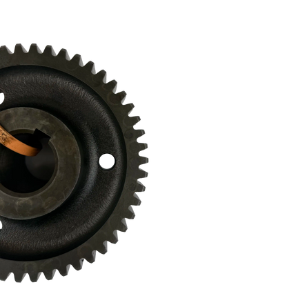 Gear | 14241947