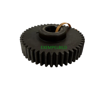 Gear | 14236454