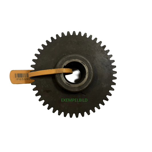 Kuggdrev | 14049844