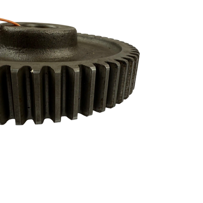 Gear | 14241946