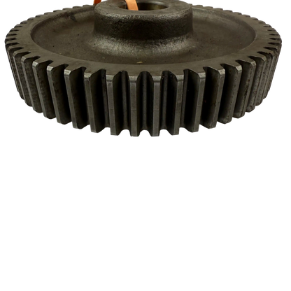 Gear | 14241946