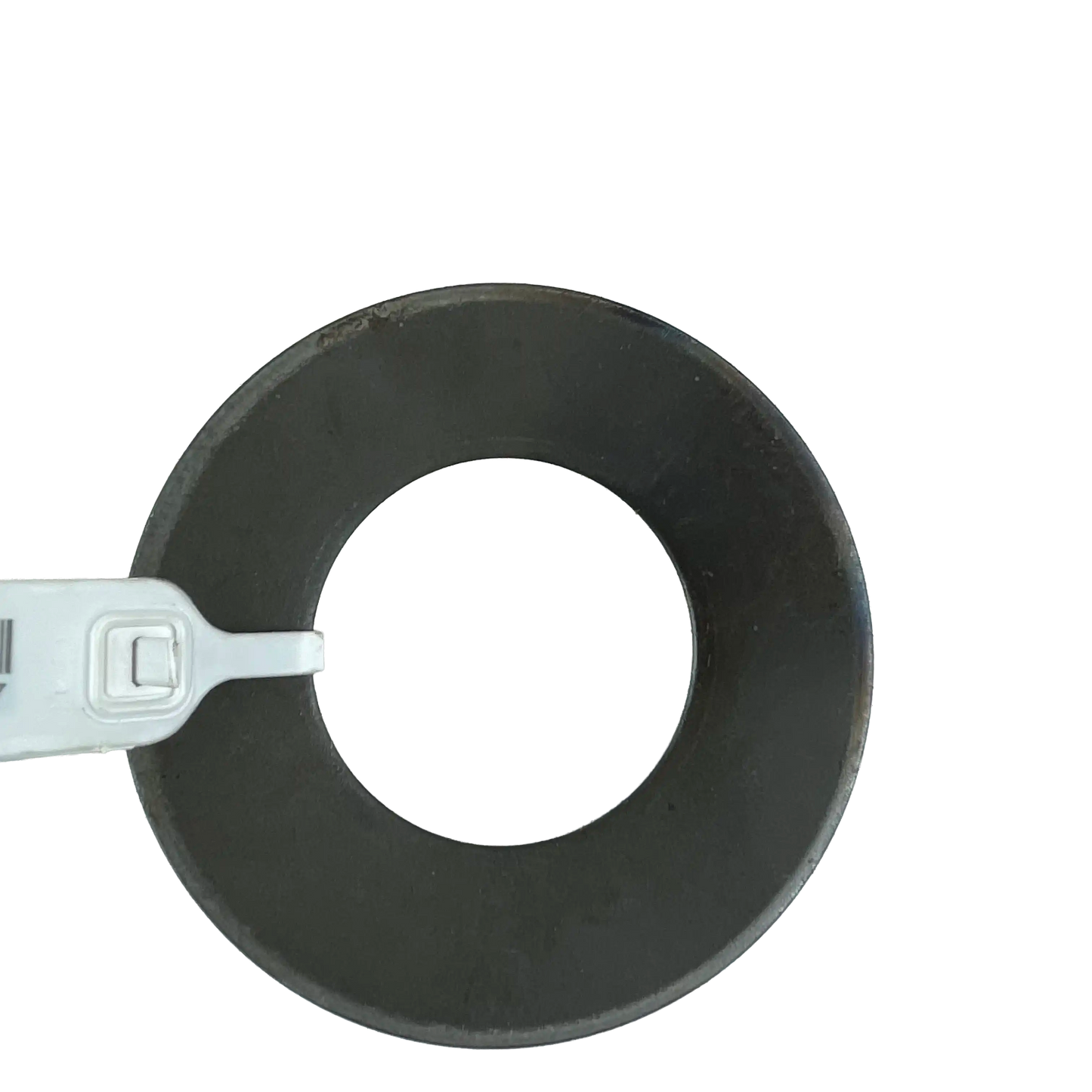 Tallriksfjäder | 14210633