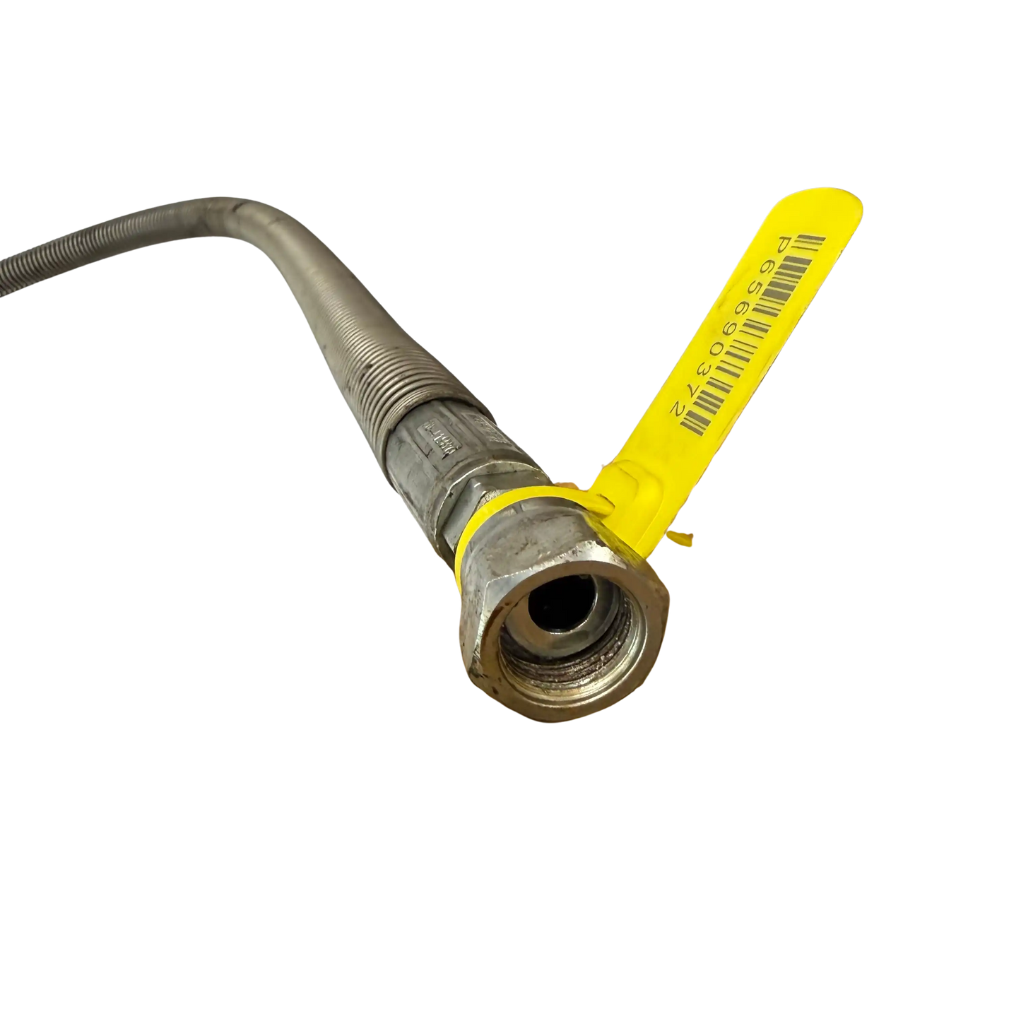 Slang | 14634375, 53502293