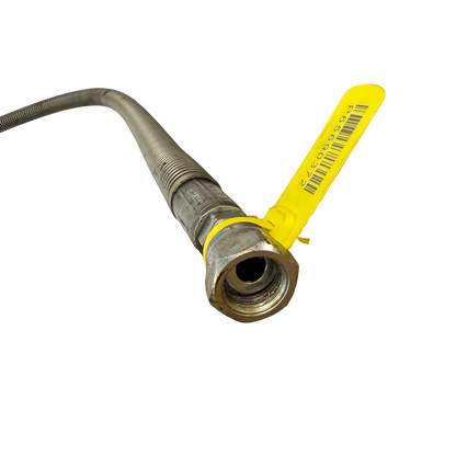 Slang | 14634375, 53502293