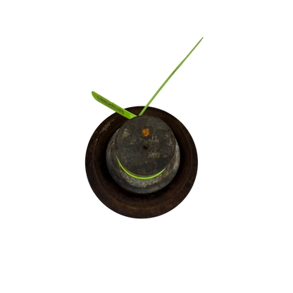 Överrulle | 14545571, 53489307 | Volvo EC250EL