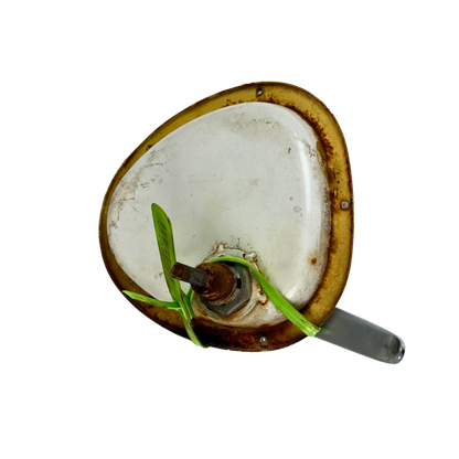 Handtag med lås och handtagsskål | 14040222 | Åkerman H10B