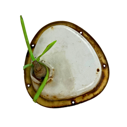 Handtag med lås och handtagsskål | 14040222 | Åkerman H10B