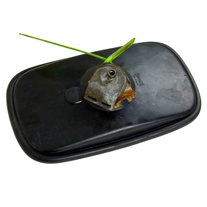 Backspegel | 4881286, 4881285 | Volvo L50