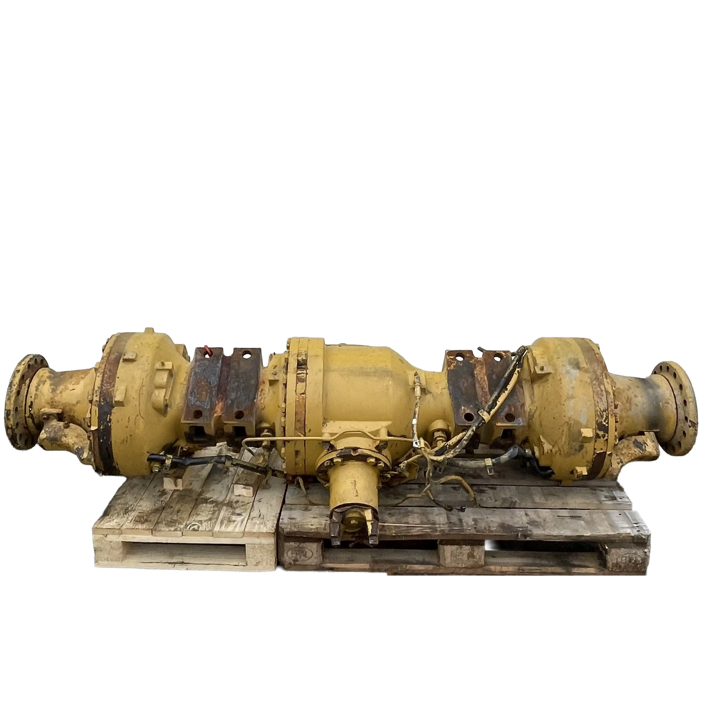 Framaxel | Cat IT38H