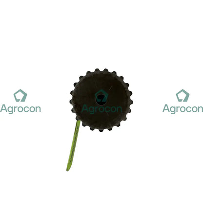 Kugghjul solhjul planetväxel | 14575733 Planetväxlar