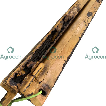 Lucka | Ljungby 1322 Karosseri