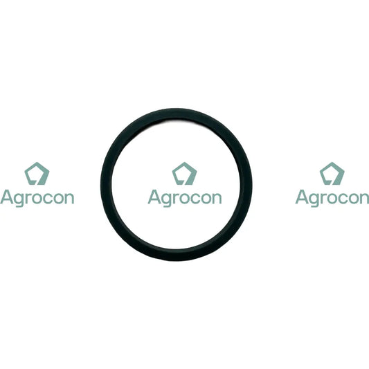 Oring | 11994242 Karosseri